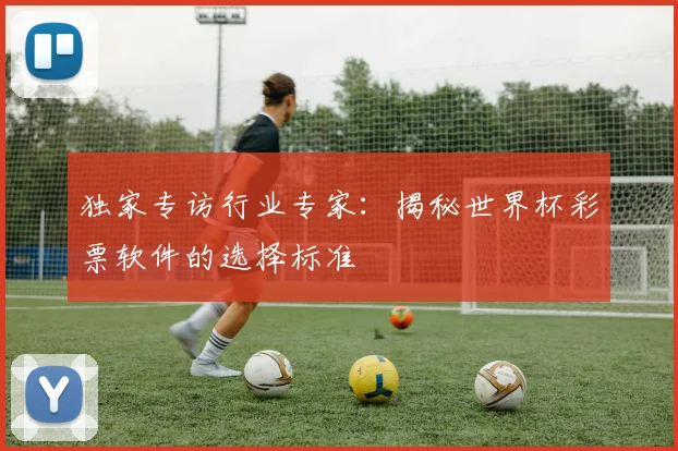 独家专访行业专家：揭秘世界杯彩票软件的选择标准