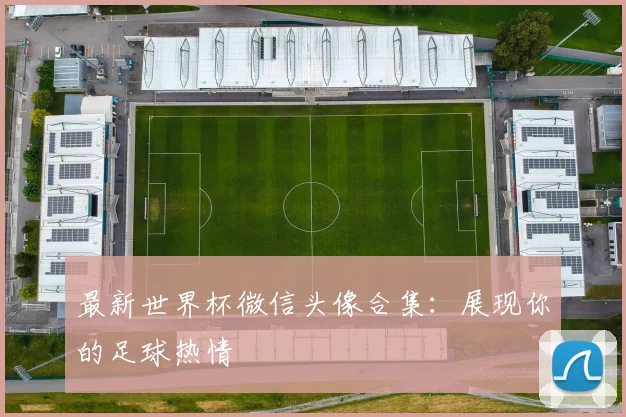 最新世界杯微信头像合集:展现你的足球热情