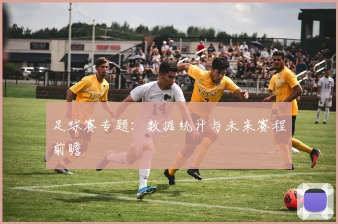 足球赛专题：数据统计与未来赛程前瞻