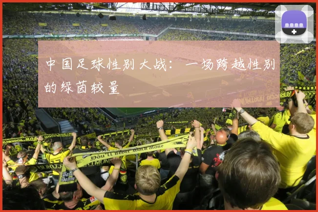 中国足球性别大战：一场跨越性别的绿茵较量