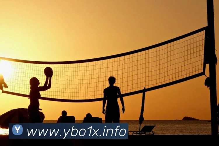 九游体育官网登录入口平台生态图